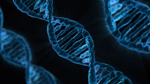 PublicDomainPictures http://pixabay.com/en/dna-biology-medicine-gene-163466/?oq=DNA